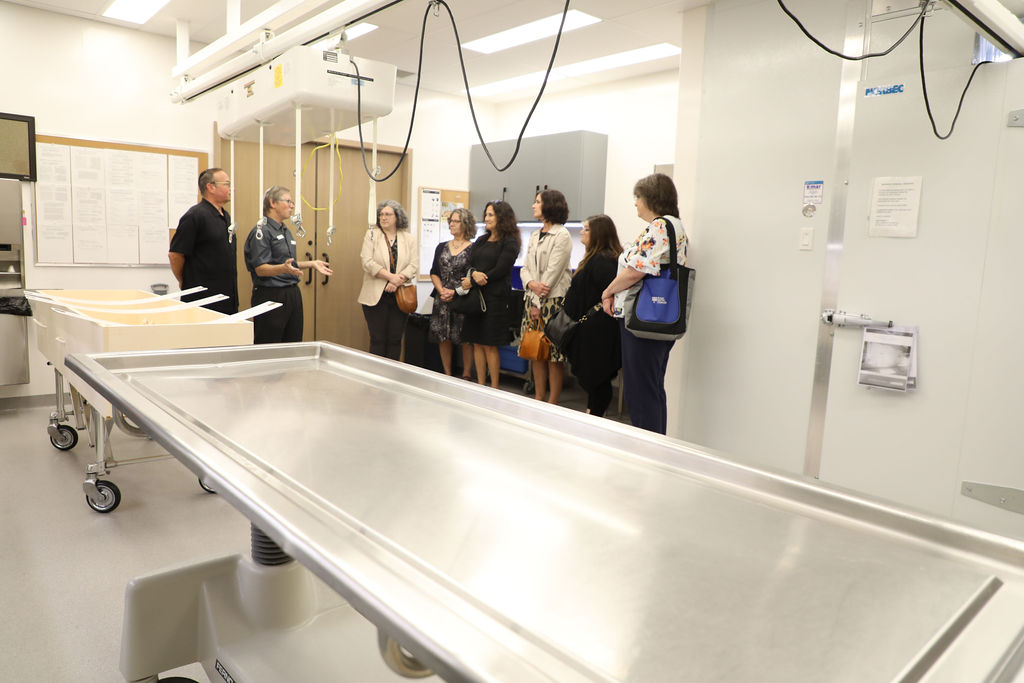 Tahara - Ritual preparation